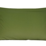 B-pi35-lightgreen