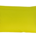 B-pi46-yellow