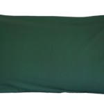 B-pi512-darkgreen