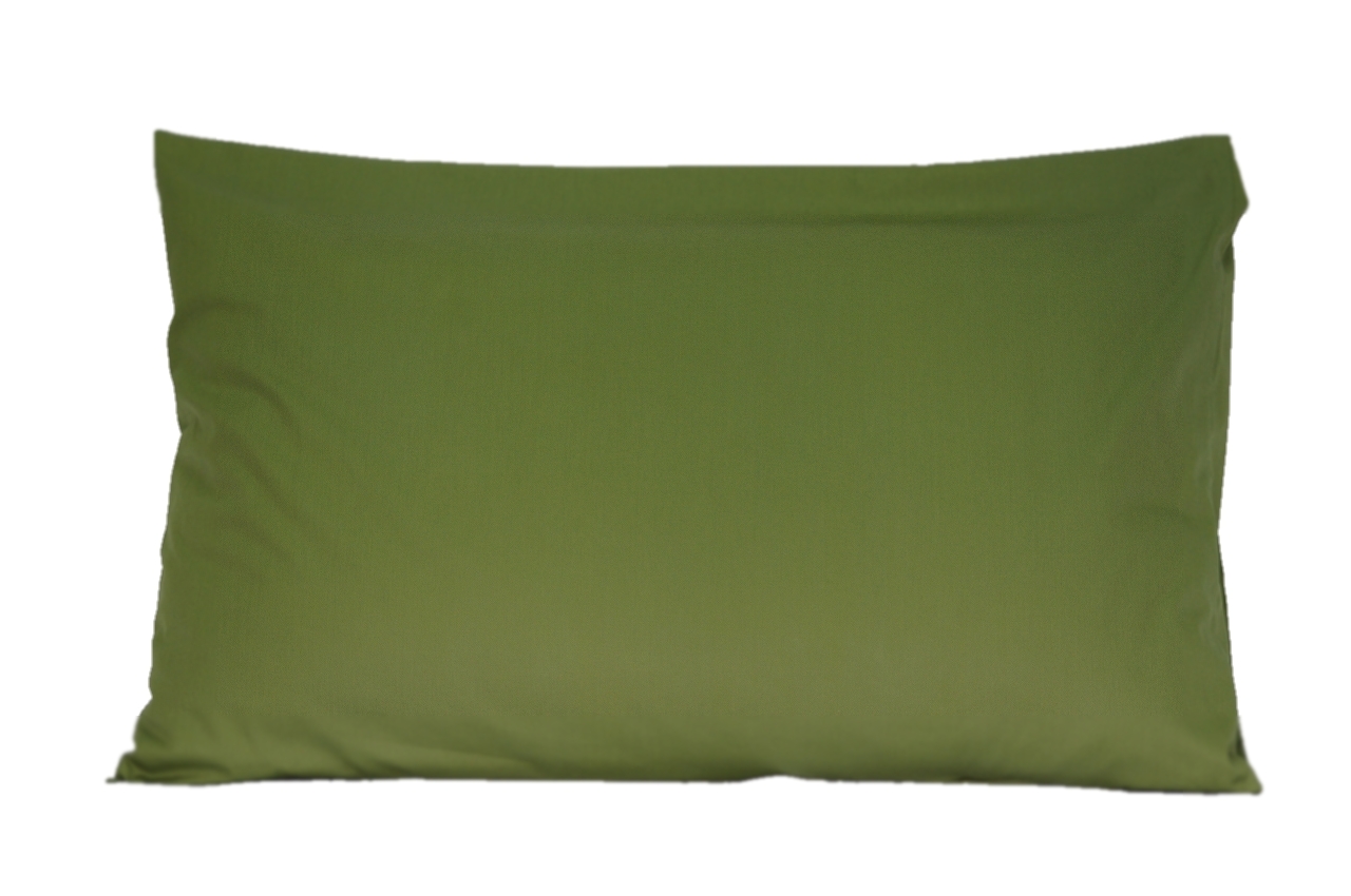 B-pi512-lightgreen