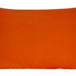 B-pi512-orange